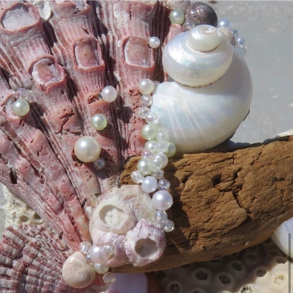 Lion's Paw Driftwood Coral Pearly Beachscape OOAK Handcrafted Coastal Art - Picture 9 of 11